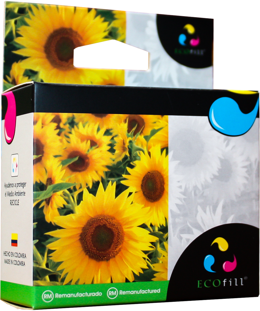 Plegadizas y micro-corrugados